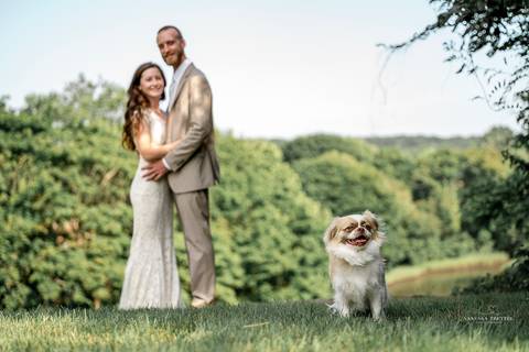 Reception under string lights with heartfelt speeches and dancing guests. Warm and romantic wedding atmosphere in coastal Connecticut.
Vanessa Trettel best wedding photographer in CT.
photographer in CT
wedding photos Mystic  CT'