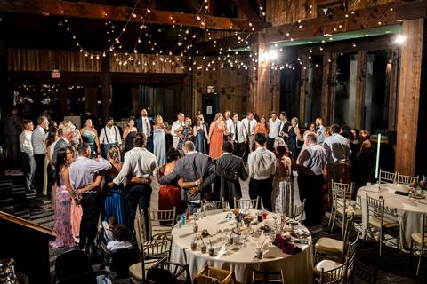 Confetti flies, the music is loud, and the dance floor is packed — this Southbury wedding party was one for the books!
Wedding photographer in CT
Vanessa Trettel Photography'