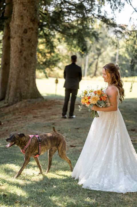 The couple’s adorable dog joins the celebration, wearing a floral collar and posing proudly with the bride and groom at their farm wedding in CT.'