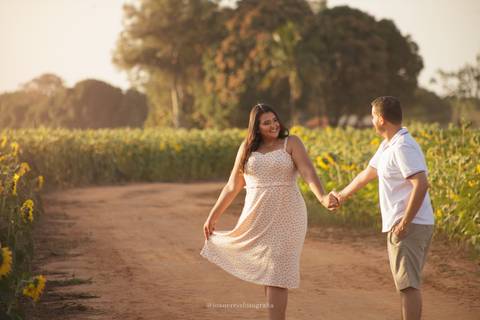 Gostou deste ensaio no campo de girassol em Promissão?'