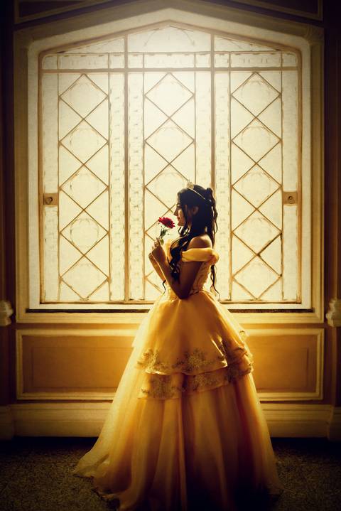 ensaio fotográfico bela e a fera'