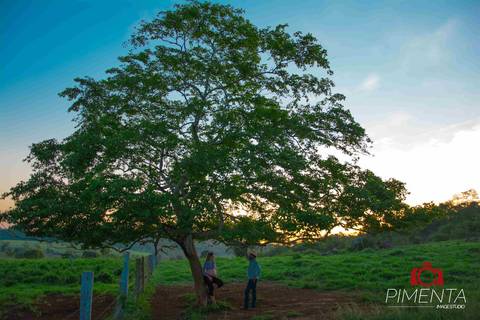 Ensaio de gestante Estilo Country realizada na Fazenda na cidade de Paranaíta - MT com o Casal Luciana e Junior Fotos criativas de Gestante fotografia Pimenta Image Studio'
