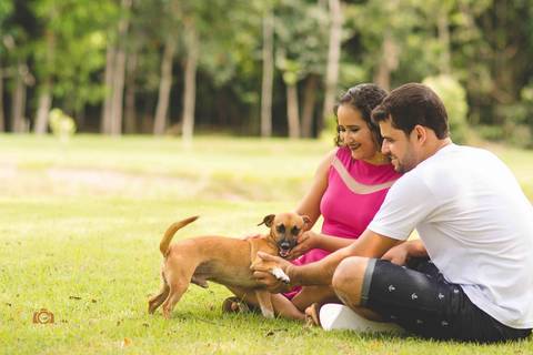 Ensaio Pré Casamento com fotografias criativas realizado na cidade de Apiacás com o casal tainara e Elison Fotografia de Casamento Pimenta Image Studio Paranaíta , Alta Floresta'