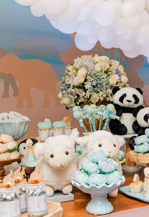 Festa Infantil Arca de Noé - RJ'