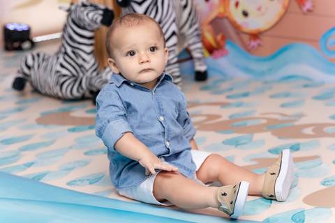 Festa Infantil Arca de Noé - RJ'