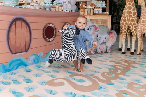 Festa Infantil Arca de Noé - RJ'