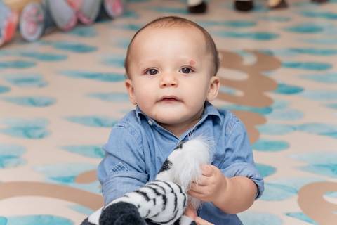 Festa Infantil Arca de Noé - RJ'