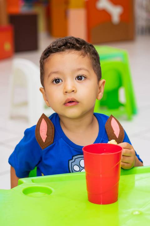 Decoração de Festa Infantil Patrulha Canina - RJ '