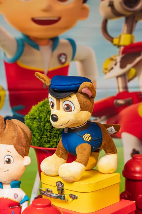 Decoração de Festa Infantil Patrulha Canina - RJ '