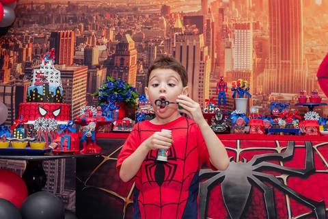 Festa infantil -Tema homem aranha -Rj'