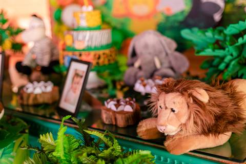 Aniversário Infantil Mococa SP'