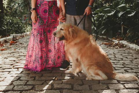 fernanda_e_thiago_ensaio_pre_casamento_urca_golden _retriever_memory_fotografia_pista_claudio_coutinho_mureta'