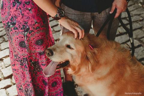 fernanda_e_thiago_ensaio_pre_casamento_urca_golden _retriever_memory_fotografia_pista_claudio_coutinho_mureta'