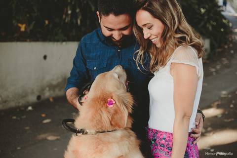 fernanda_e_thiago_ensaio_pre_casamento_urca_golden _retriever_memory_fotografia_pista_claudio_coutinho_mureta'