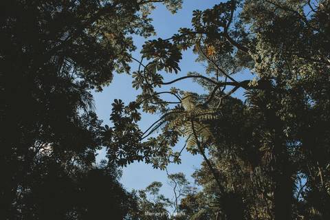 ensaio-casal-teresopolis-parque-nacional-serra-dos-orgaos-parnaso-pre-wedding-memory-fotografia-rio-de-janeiro'