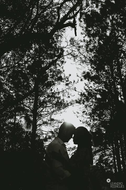 ensaio fotografico na vinícola'