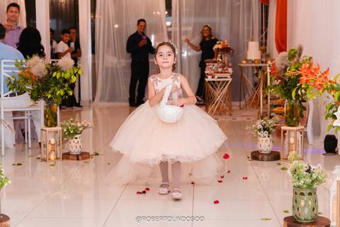 Casamnento, festa de casamento, entrada padrinhops e noivo, entrada noiva'