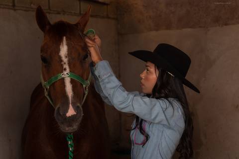 mulher colocando cabresto no cavalo'