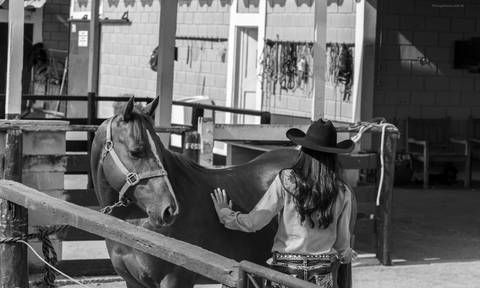 mulher escovando o cavalo'
