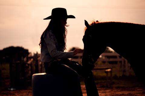 por do sol entre mulher e cavalo'