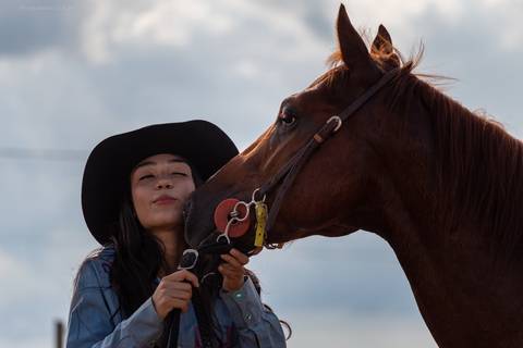cavalo beijando mulher'