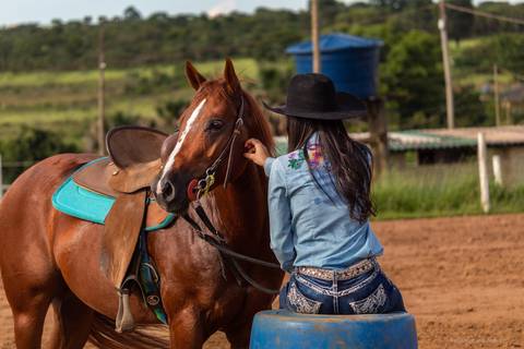 conexão cavalo e mulher'