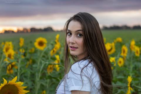 modelo no campo de girassol em ensaio fotografico em uberlandia thiagomoon'