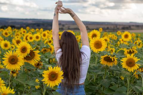 mulher no campo de girassol em ensaio fotografico em uberlandia thiagomoon'