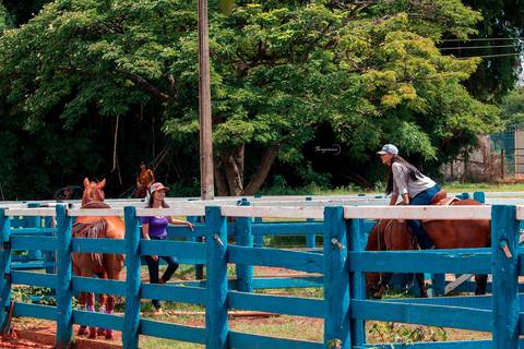 prova de 3 tambores camaru uberlandia'