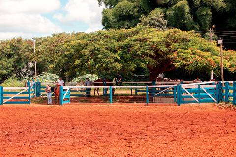 prova de 3 tambores camaru uberlandia'