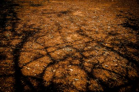 Cores e textura de terra batida'