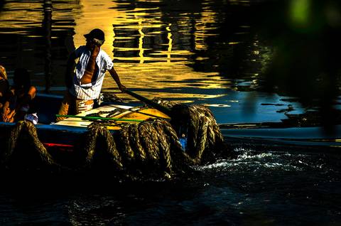 Barqueiro conduzindo a catraia em travessia na região do Mercado, em Santos-SP'