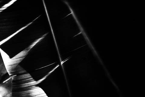 Série fotográfica chamada de Aura: Essência Sutil'