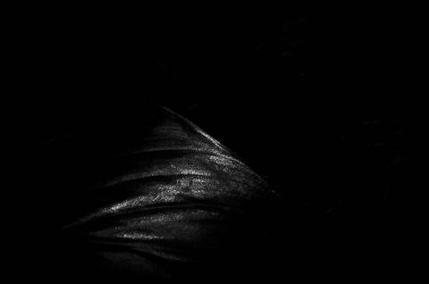 Série fotográfica chamada de Aura: Essência Sutil'