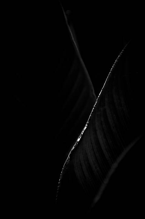 Série fotográfica chamada de Aura: Essência Sutil'