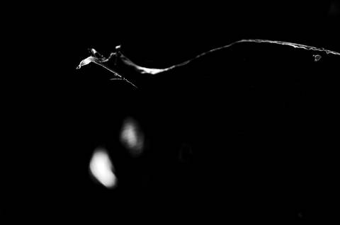 Série fotográfica chamada de Aura: Essência Sutil'