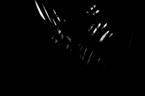 Série fotográfica chamada de Aura: Essência Sutil'