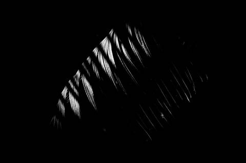 Série fotográfica chamada de Aura: Essência Sutil'