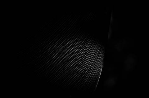 Série fotográfica chamada de Aura: Essência Sutil'