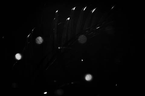 Série fotográfica chamada de Aura: Essência Sutil'