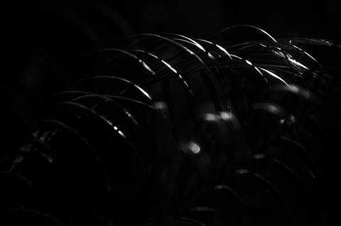 Série fotográfica chamada de Aura: Essência Sutil'