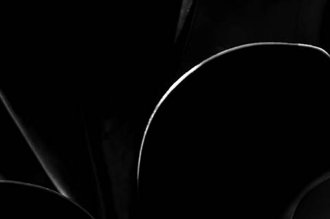 Série fotográfica chamada de Aura: Essência Sutil'