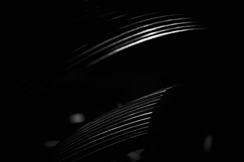 Série fotográfica chamada de Aura: Essência Sutil'