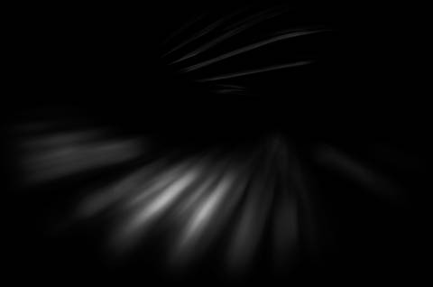 Série fotográfica chamada de Aura: Essência Sutil'