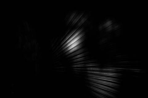 Série fotográfica chamada de Aura: Essência Sutil'