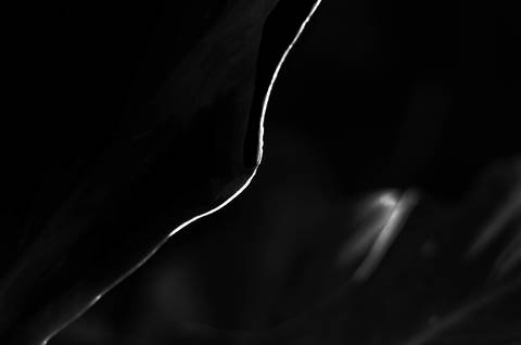 Série fotográfica chamada de Aura: Essência Sutil'