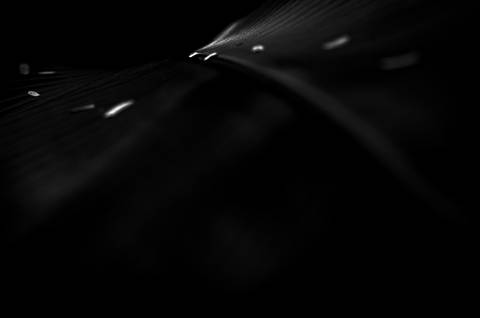 Série fotográfica chamada de Aura: Essência Sutil'