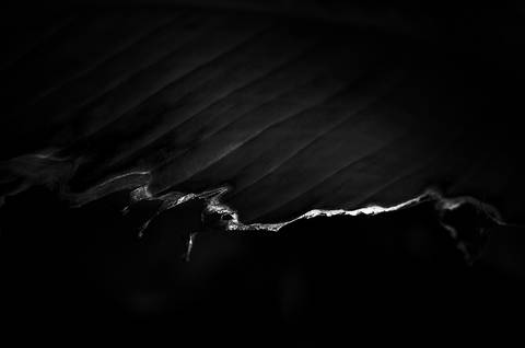 Série fotográfica chamada de Aura: Essência Sutil'