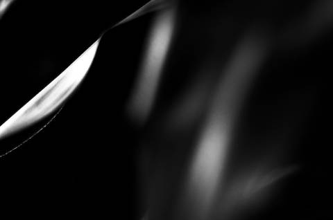 Série fotográfica chamada de Aura: Essência Sutil'