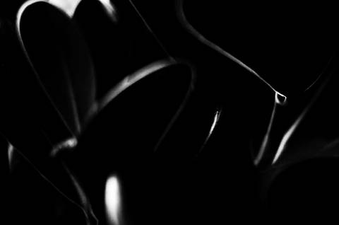 Série fotográfica chamada de Aura: Essência Sutil'